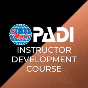 IDC - Corso Istruttore - Bronze