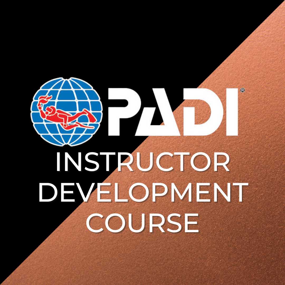 IDC - Corso Istruttore - Bronze