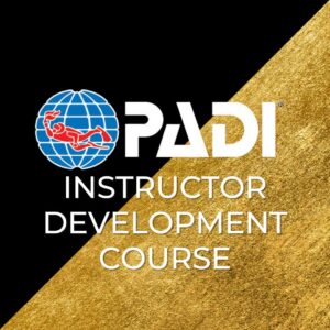 IDC - Corso Istruttore - Gold